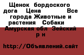 Щенок  бордоского  дога. › Цена ­ 60 000 - Все города Животные и растения » Собаки   . Амурская обл.,Зейский р-н